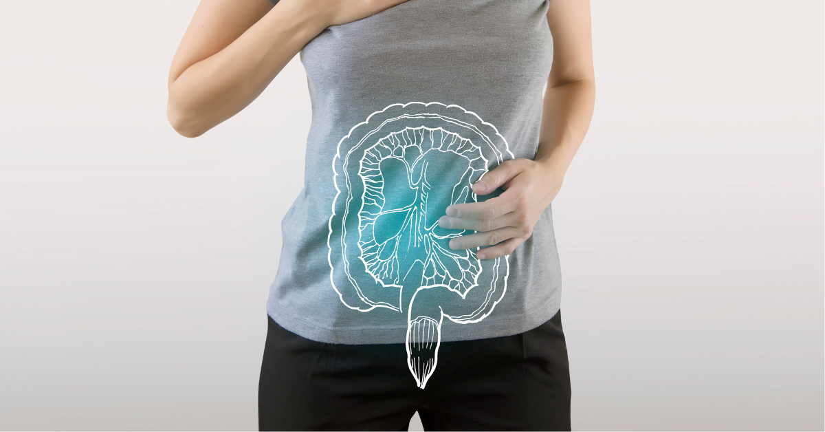 micriobiota intestinal